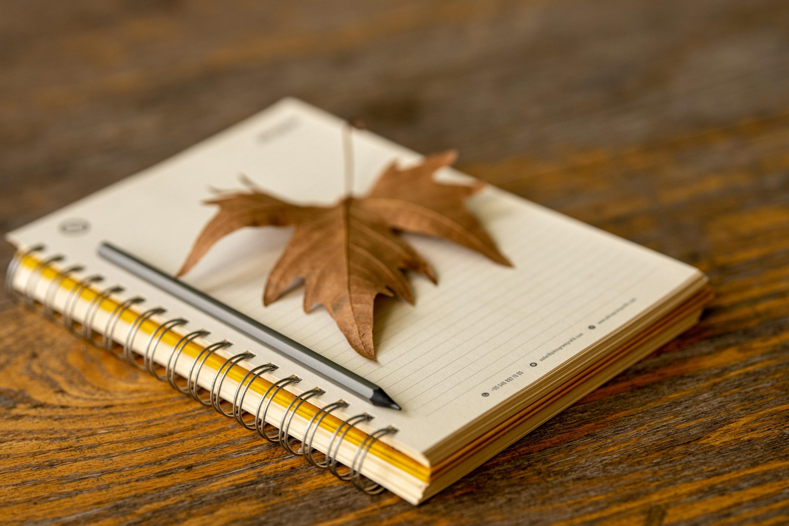 Need a household reset this fall?