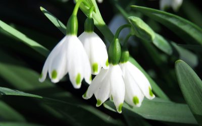 Time and money saving spring cleaning hacks for 2026…