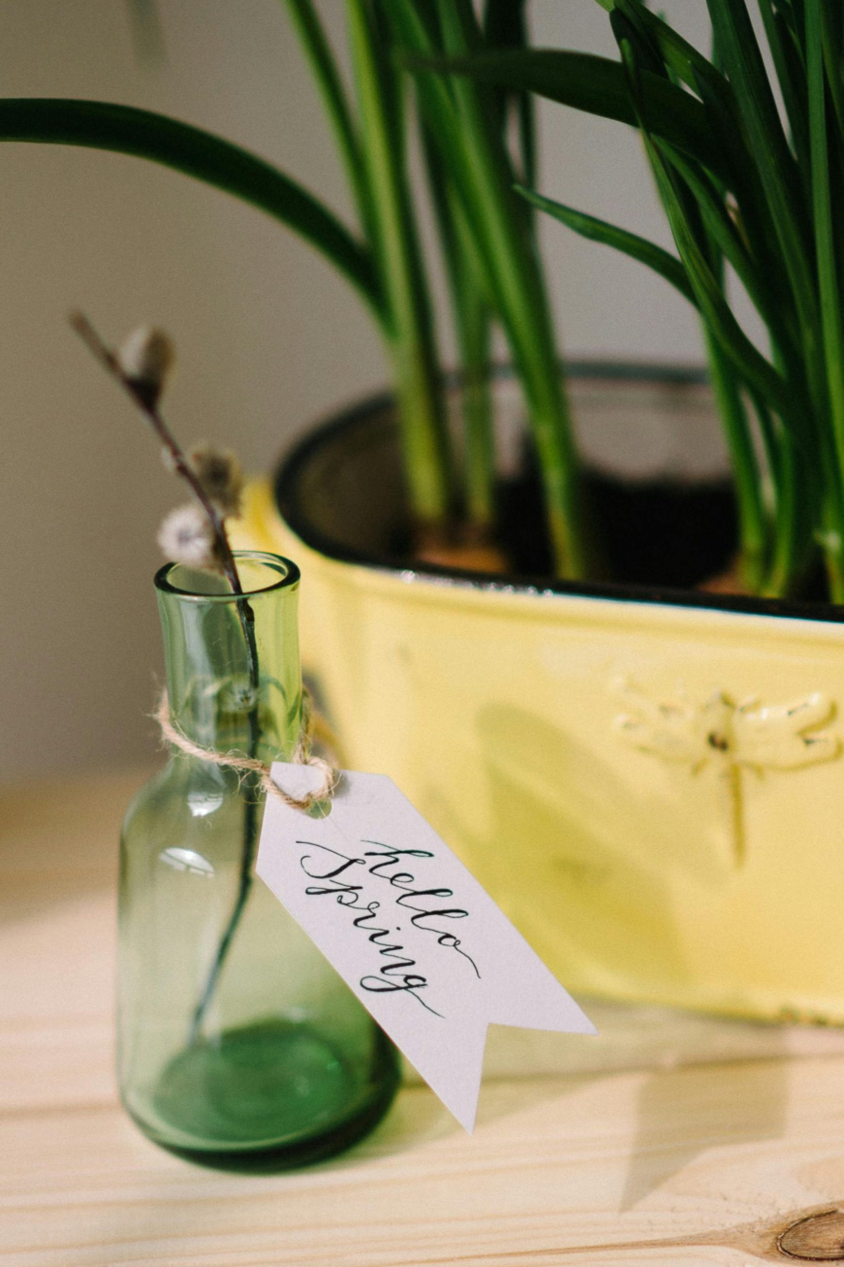 The cost of household clutter
